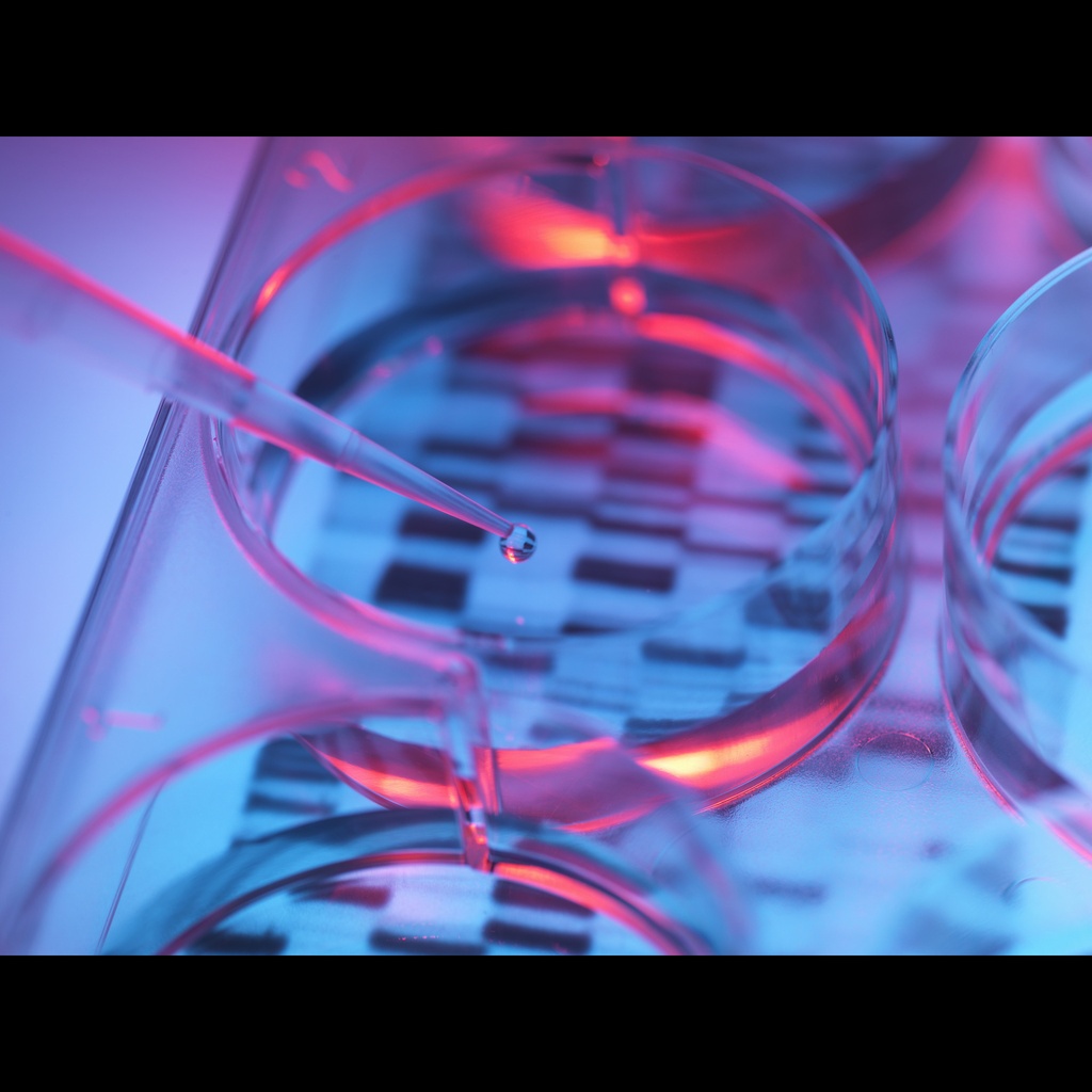 Hieff UNICON® Hotstart E-Taq DNA Polymerase, 5 U/μL -250 U